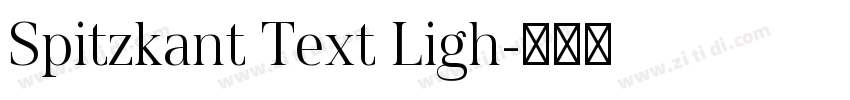 Spitzkant Text Ligh字体转换